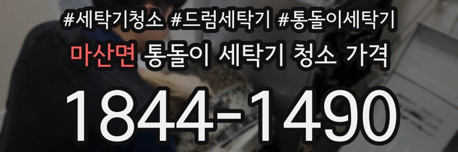 마산면 통돌이 세탁기 청소 가격