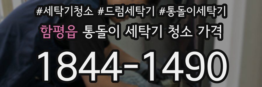함평읍 통돌이 세탁기 청소 가격