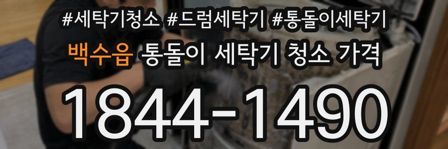 백수읍 통돌이 세탁기 청소 가격