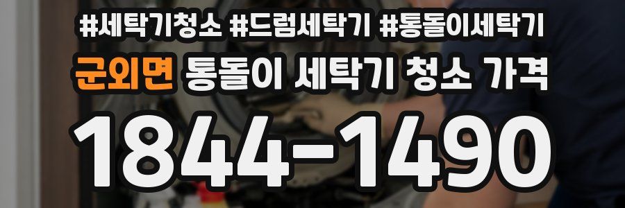 군외면 통돌이 세탁기 청소 가격