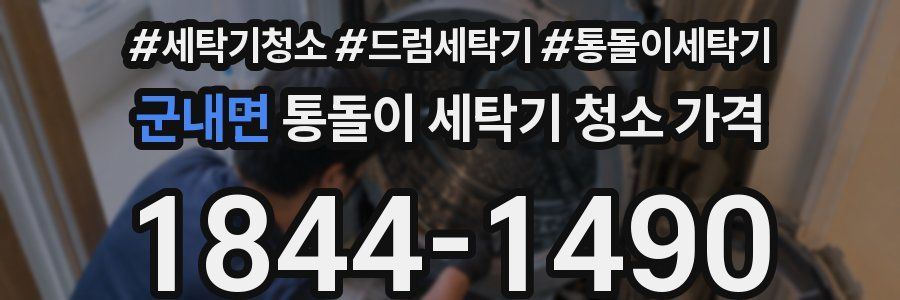 군내면 통돌이 세탁기 청소 가격