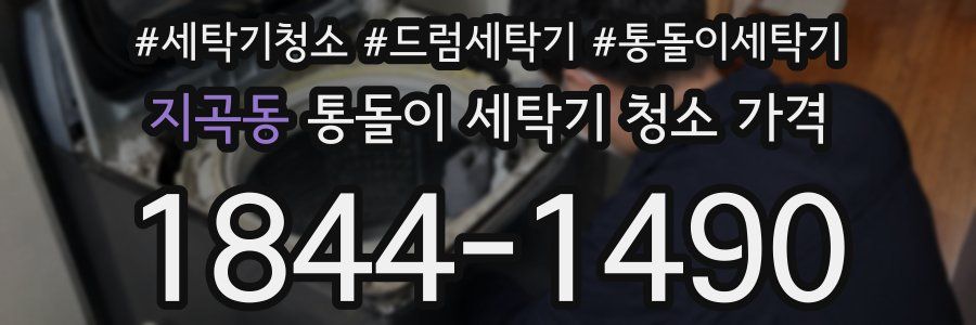 지곡동 통돌이 세탁기 청소 가격
