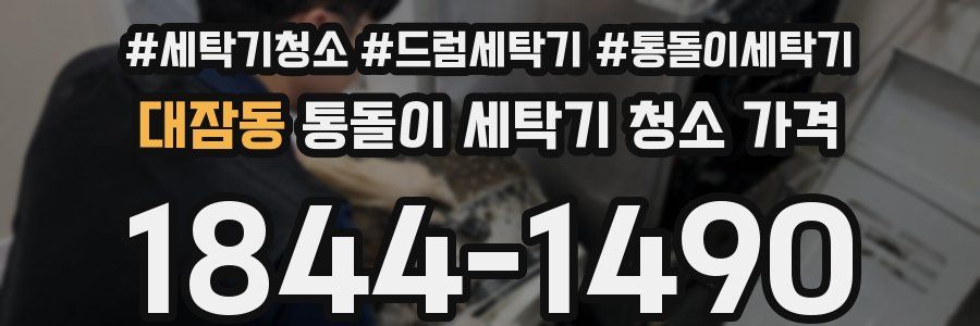 대잠동 통돌이 세탁기 청소 가격