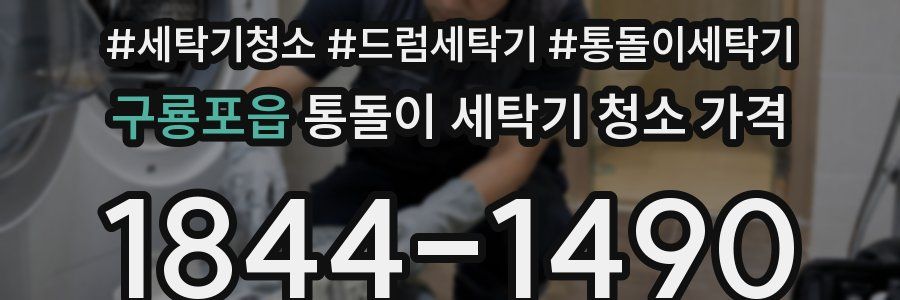 구룡포읍 통돌이 세탁기 청소 가격