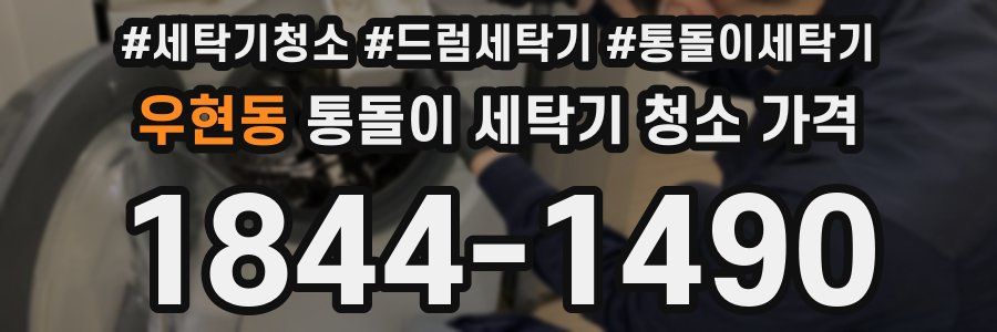 우현동 통돌이 세탁기 청소 가격