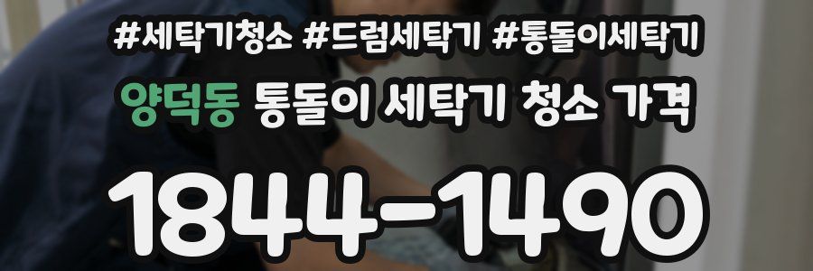 양덕동 통돌이 세탁기 청소 가격