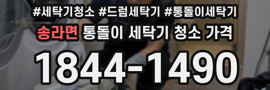 송라면 통돌이 세탁기 청소 가격