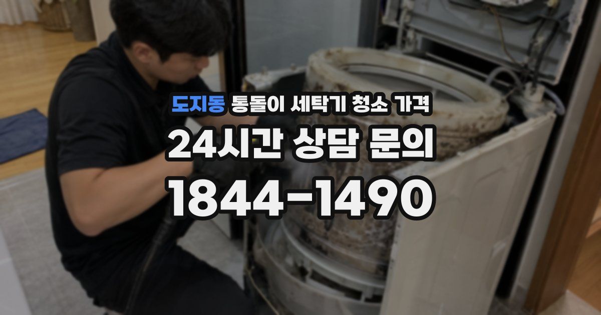 도지동 통돌이 세탁기 청소 가격