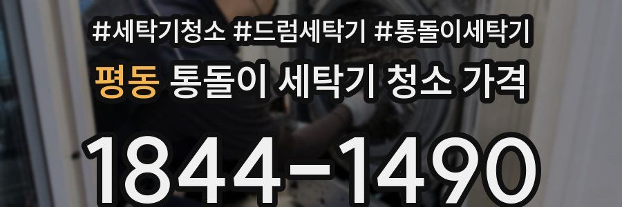 평동 통돌이 세탁기 청소 가격