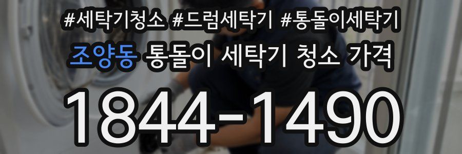조양동 통돌이 세탁기 청소 가격