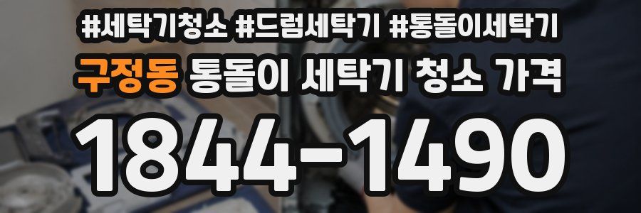 구정동 통돌이 세탁기 청소 가격