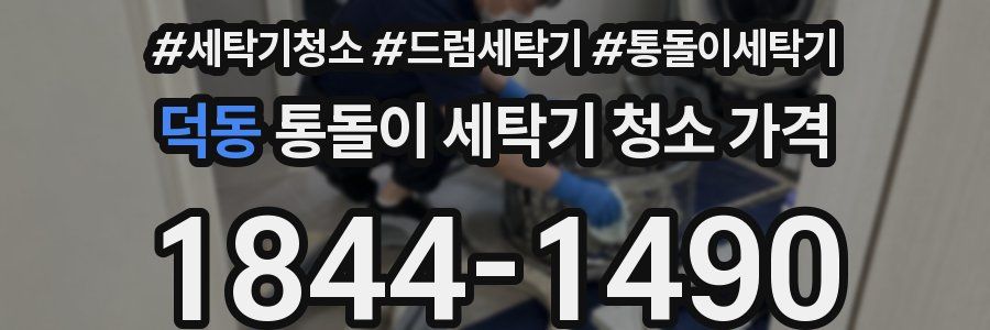 덕동 통돌이 세탁기 청소 가격