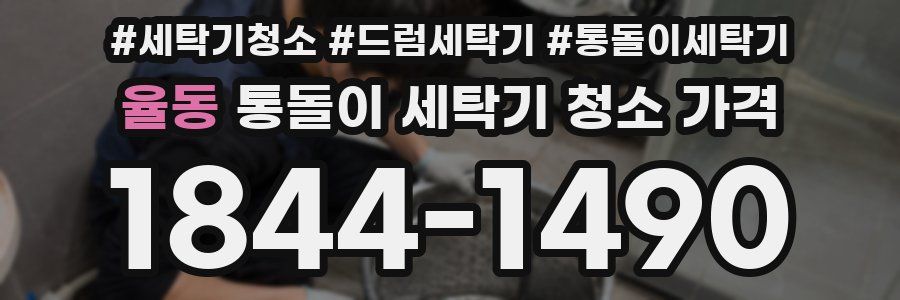 율동 통돌이 세탁기 청소 가격
