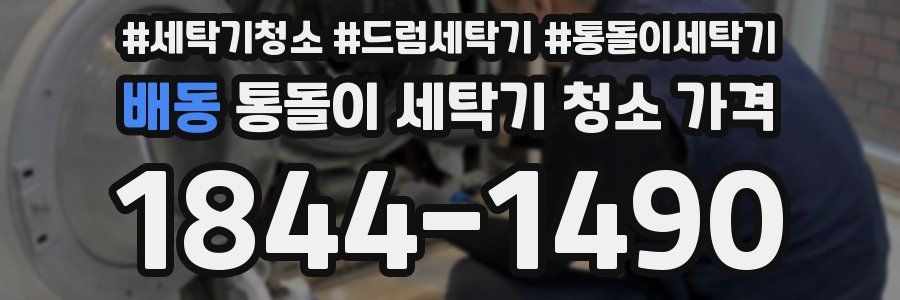 배동 통돌이 세탁기 청소 가격