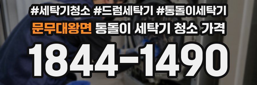 문무대왕면 통돌이 세탁기 청소 가격