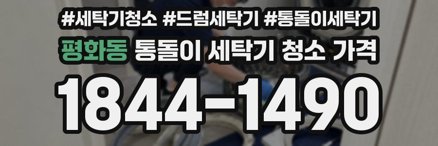평화동 통돌이 세탁기 청소 가격