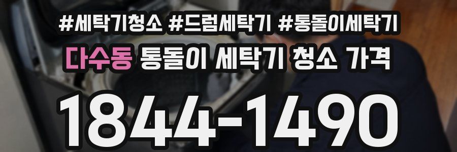 다수동 통돌이 세탁기 청소 가격