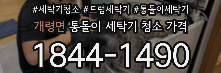 개령면 통돌이 세탁기 청소 가격