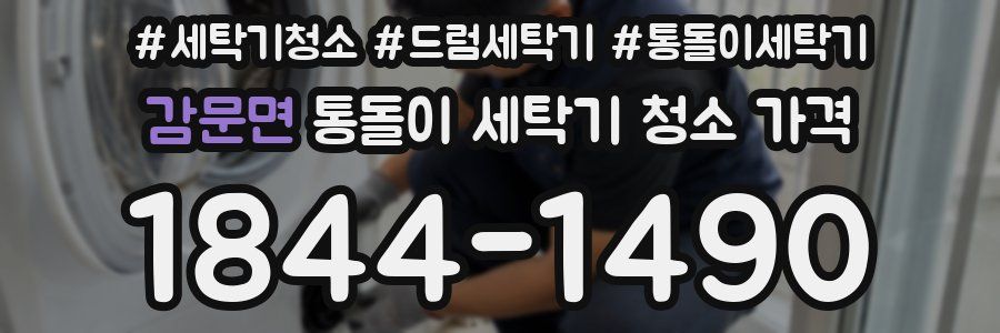 감문면 통돌이 세탁기 청소 가격