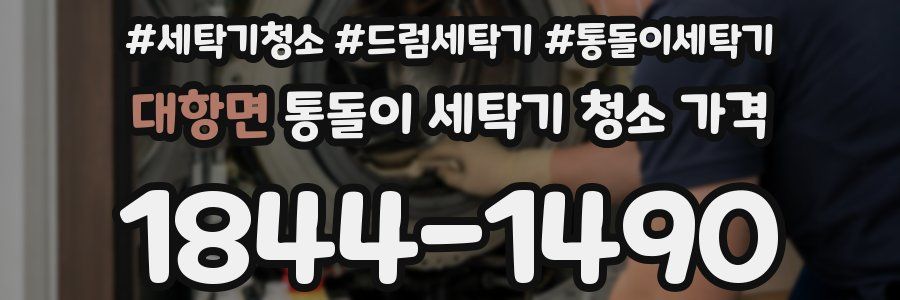 대항면 통돌이 세탁기 청소 가격