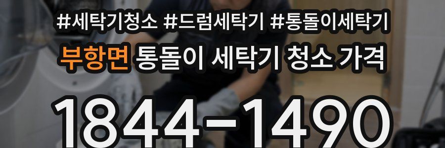 부항면 통돌이 세탁기 청소 가격