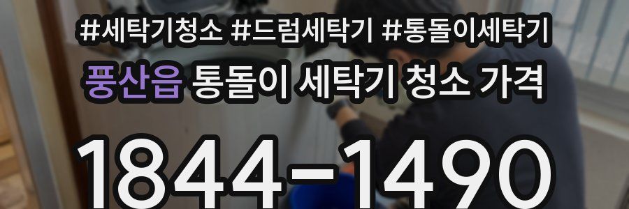 풍산읍 통돌이 세탁기 청소 가격