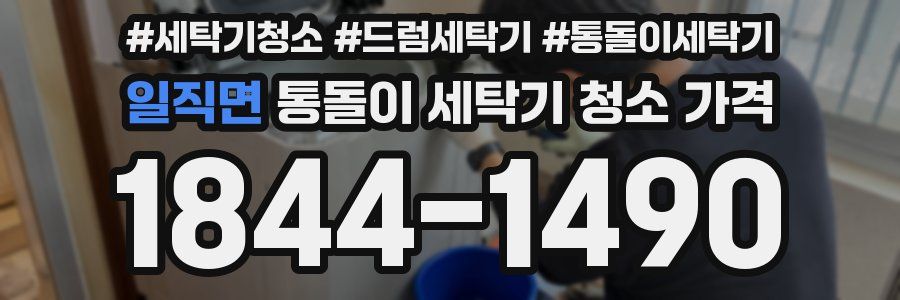 일직면 통돌이 세탁기 청소 가격
