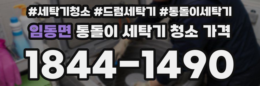 임동면 통돌이 세탁기 청소 가격
