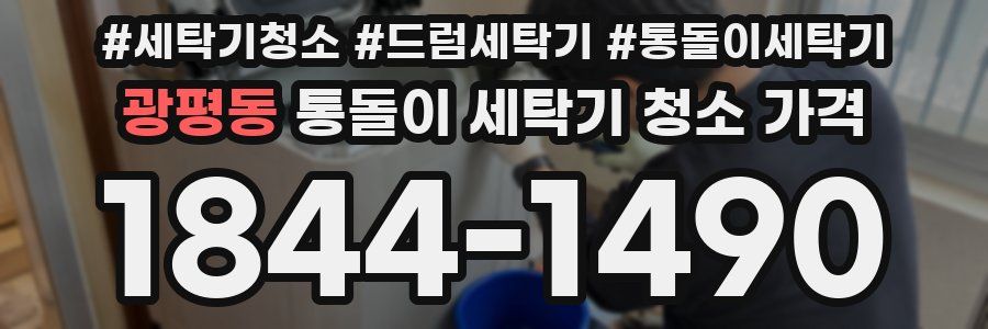 광평동 통돌이 세탁기 청소 가격