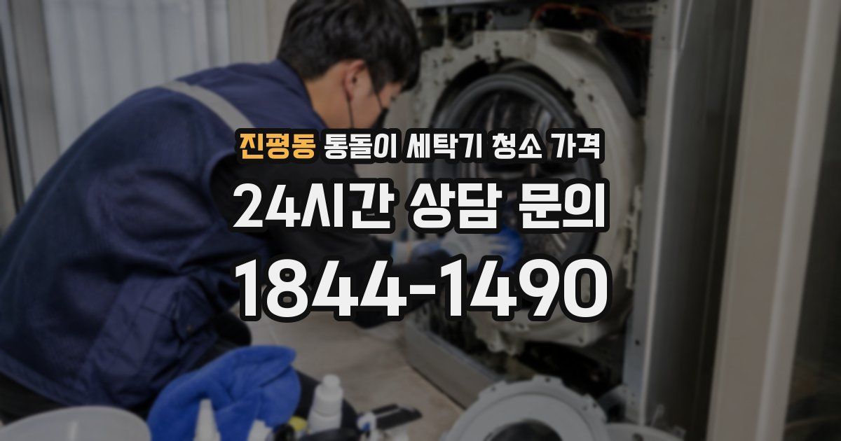 진평동 통돌이 세탁기 청소 가격
