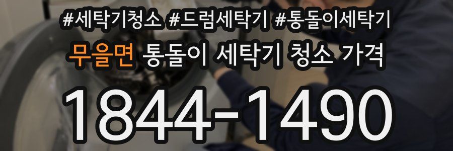 무을면 통돌이 세탁기 청소 가격