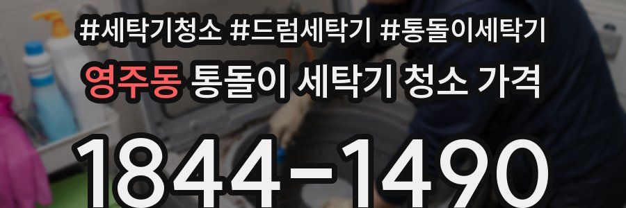 영주동 통돌이 세탁기 청소 가격