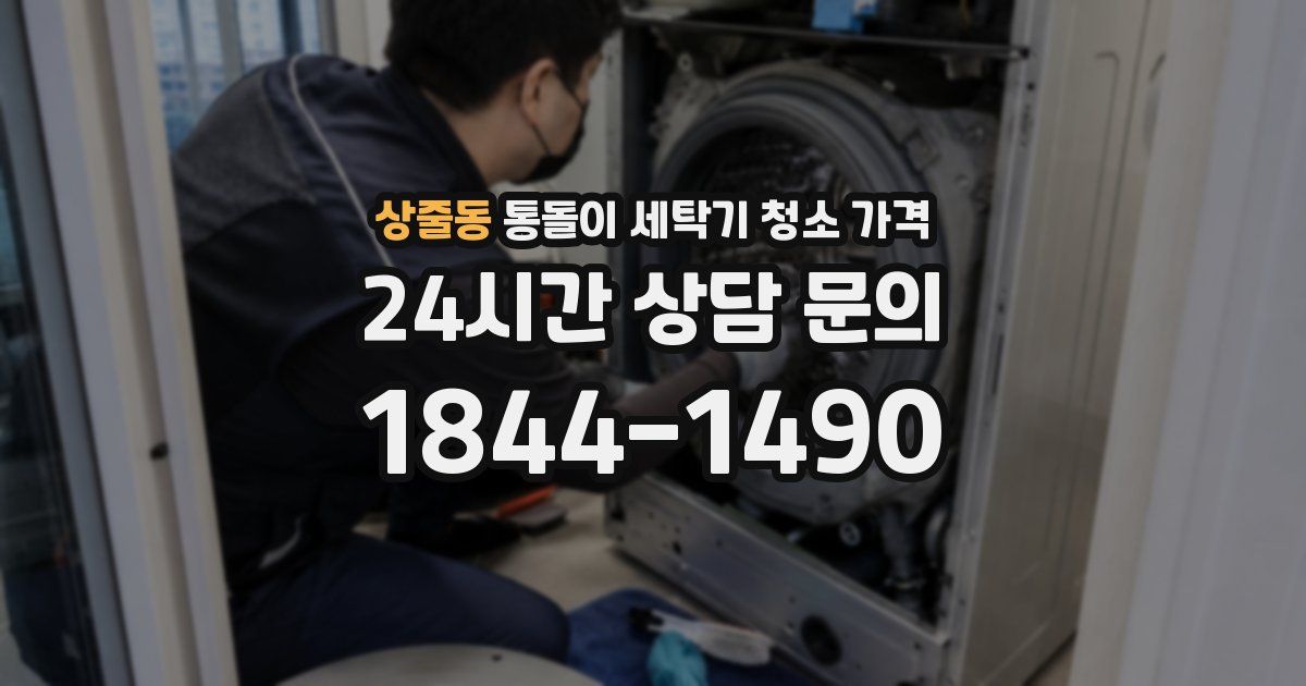 상줄동 통돌이 세탁기 청소 가격