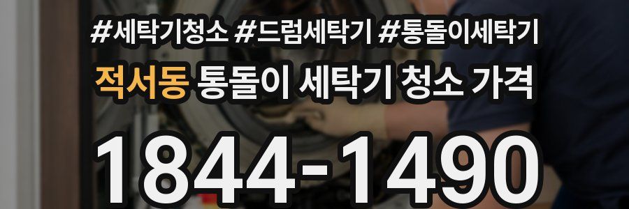 적서동 통돌이 세탁기 청소 가격
