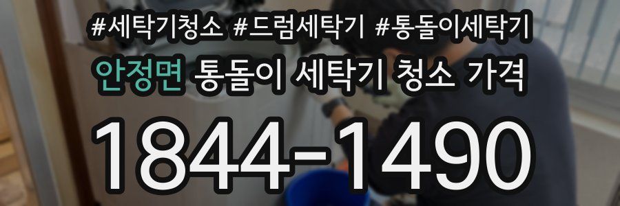 안정면 통돌이 세탁기 청소 가격