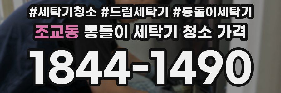 조교동 통돌이 세탁기 청소 가격