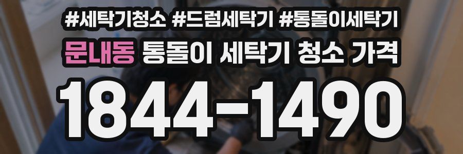 문내동 통돌이 세탁기 청소 가격