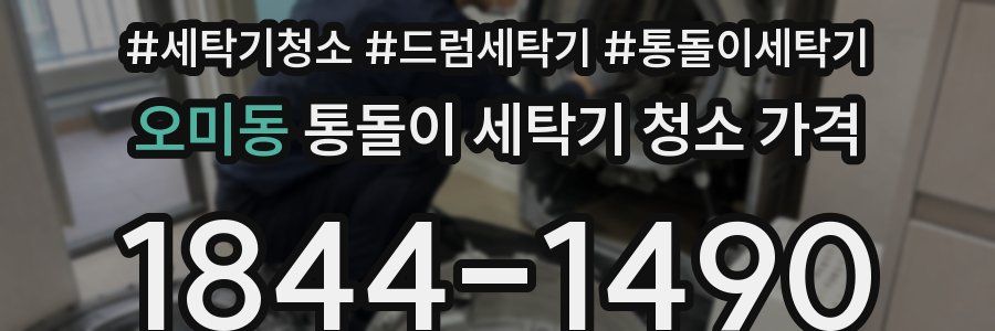 오미동 통돌이 세탁기 청소 가격