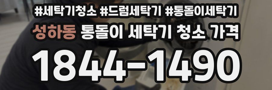 성하동 통돌이 세탁기 청소 가격