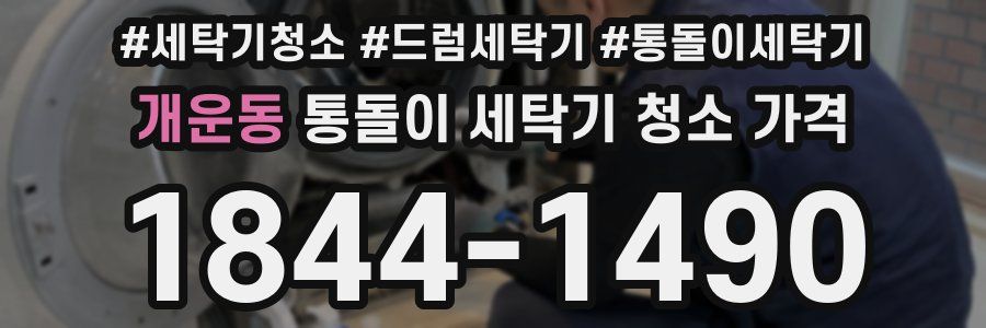 개운동 통돌이 세탁기 청소 가격