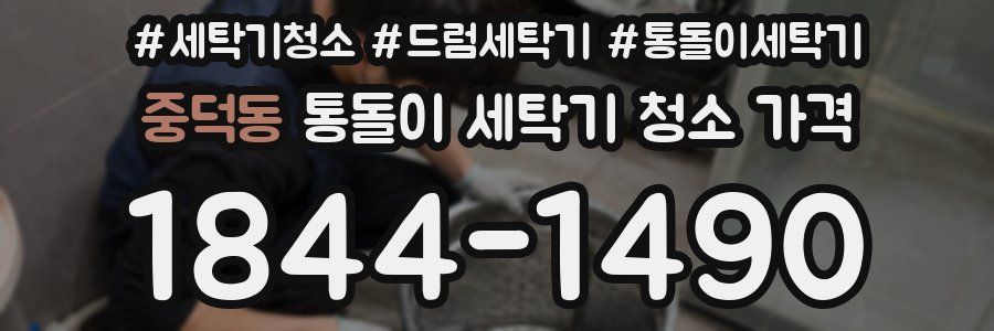 중덕동 통돌이 세탁기 청소 가격