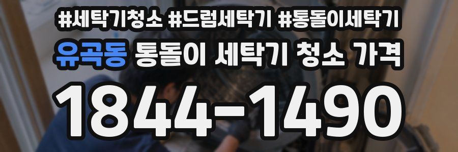유곡동 통돌이 세탁기 청소 가격