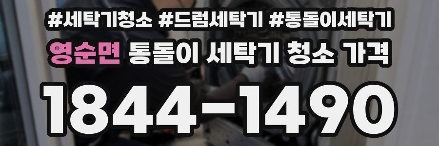 영순면 통돌이 세탁기 청소 가격
