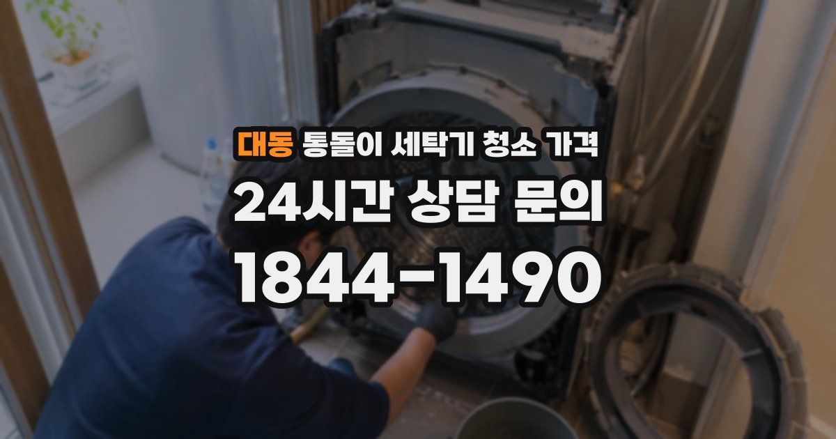 대동 통돌이 세탁기 청소 가격
