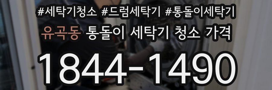 유곡동 통돌이 세탁기 청소 가격