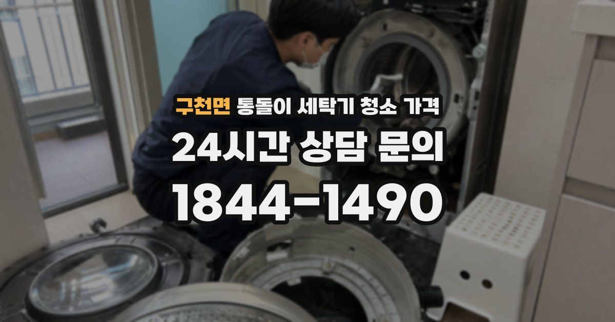 구천면 통돌이 세탁기 청소 가격