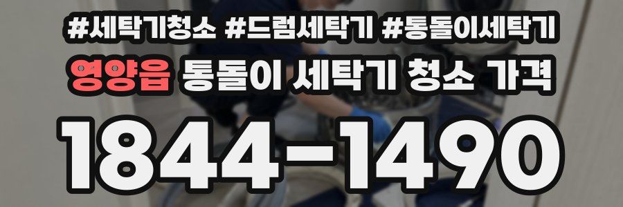 영양읍 통돌이 세탁기 청소 가격