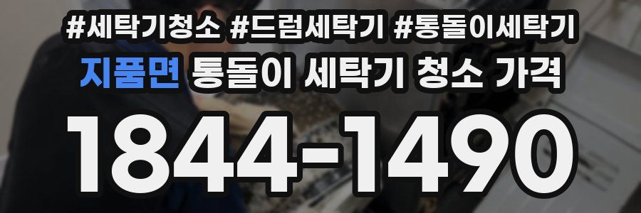 지품면 통돌이 세탁기 청소 가격