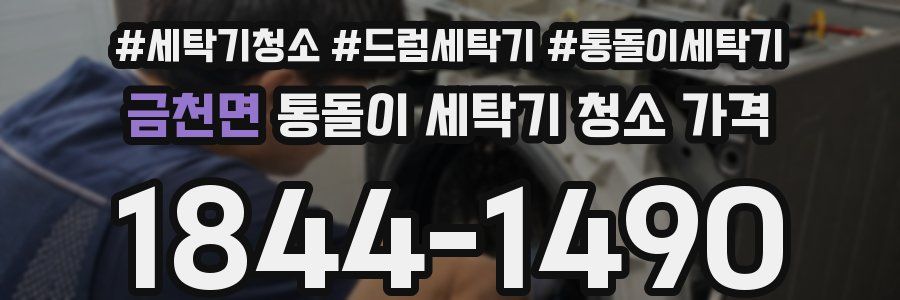 금천면 통돌이 세탁기 청소 가격