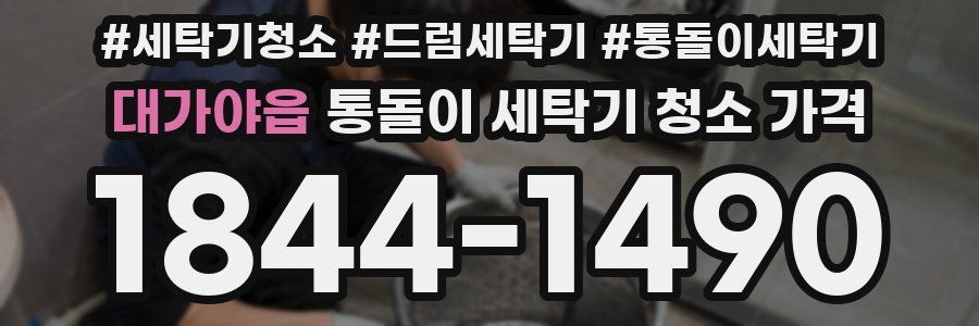 대가야읍 통돌이 세탁기 청소 가격